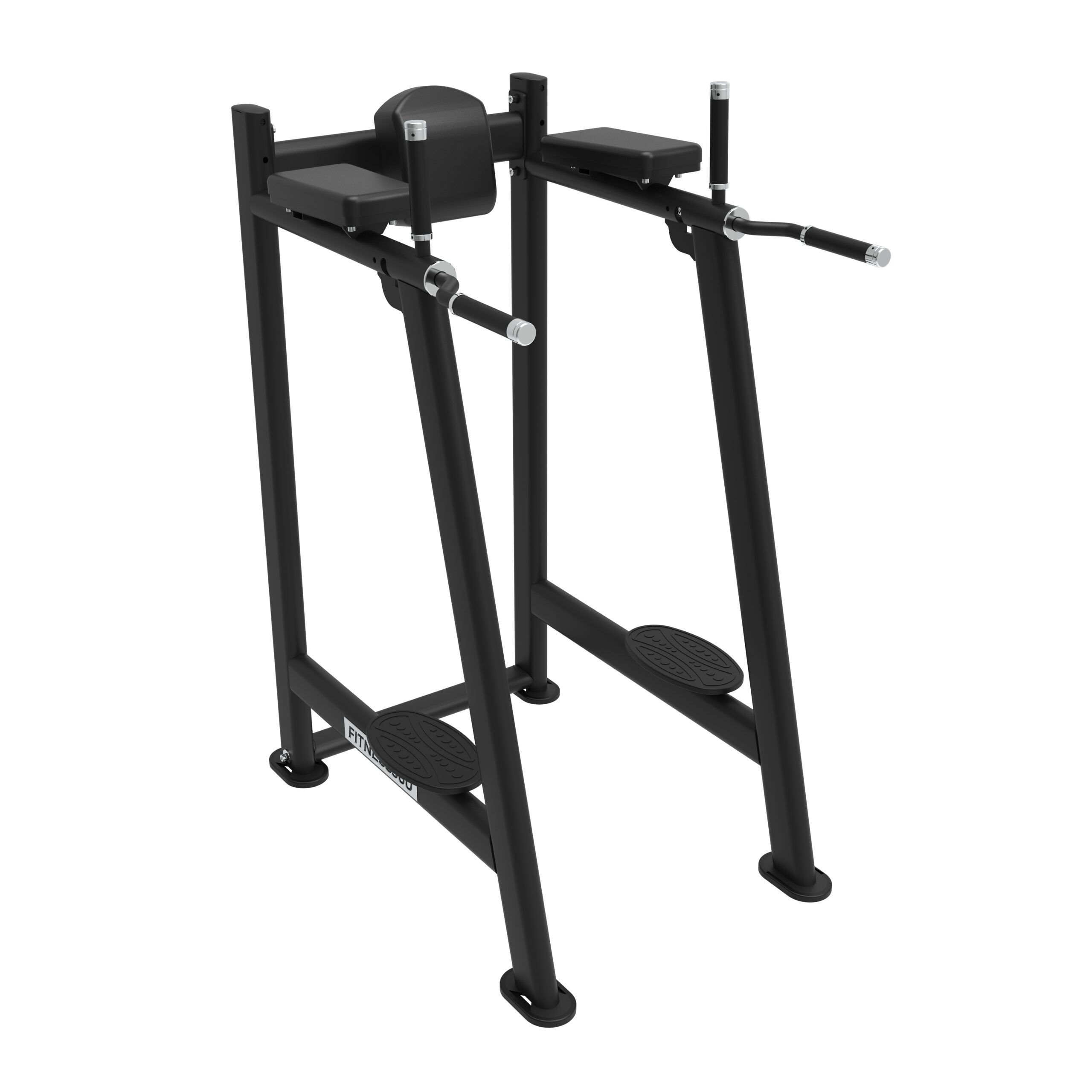 Dip/Leg Raise