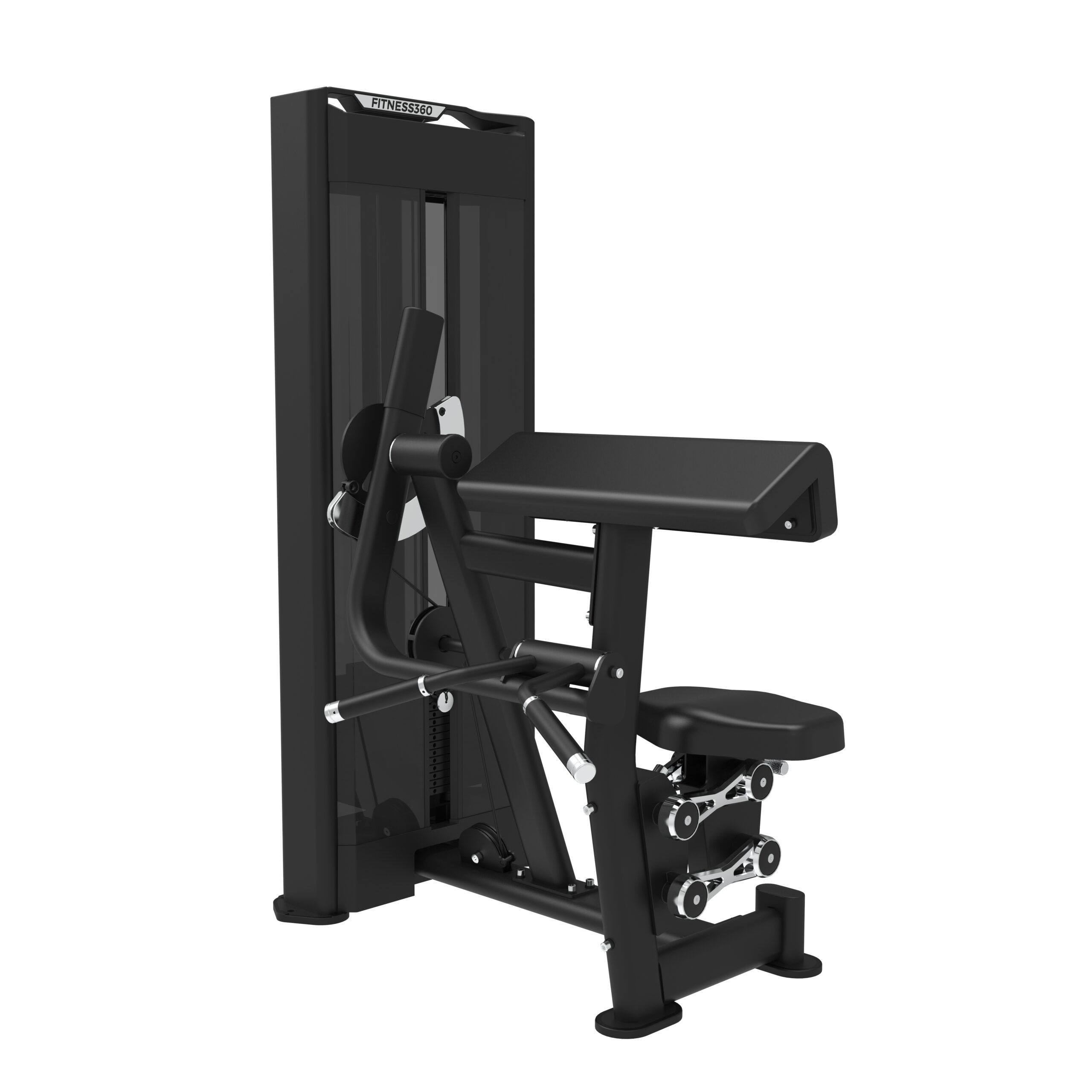Seated Biceps Curl