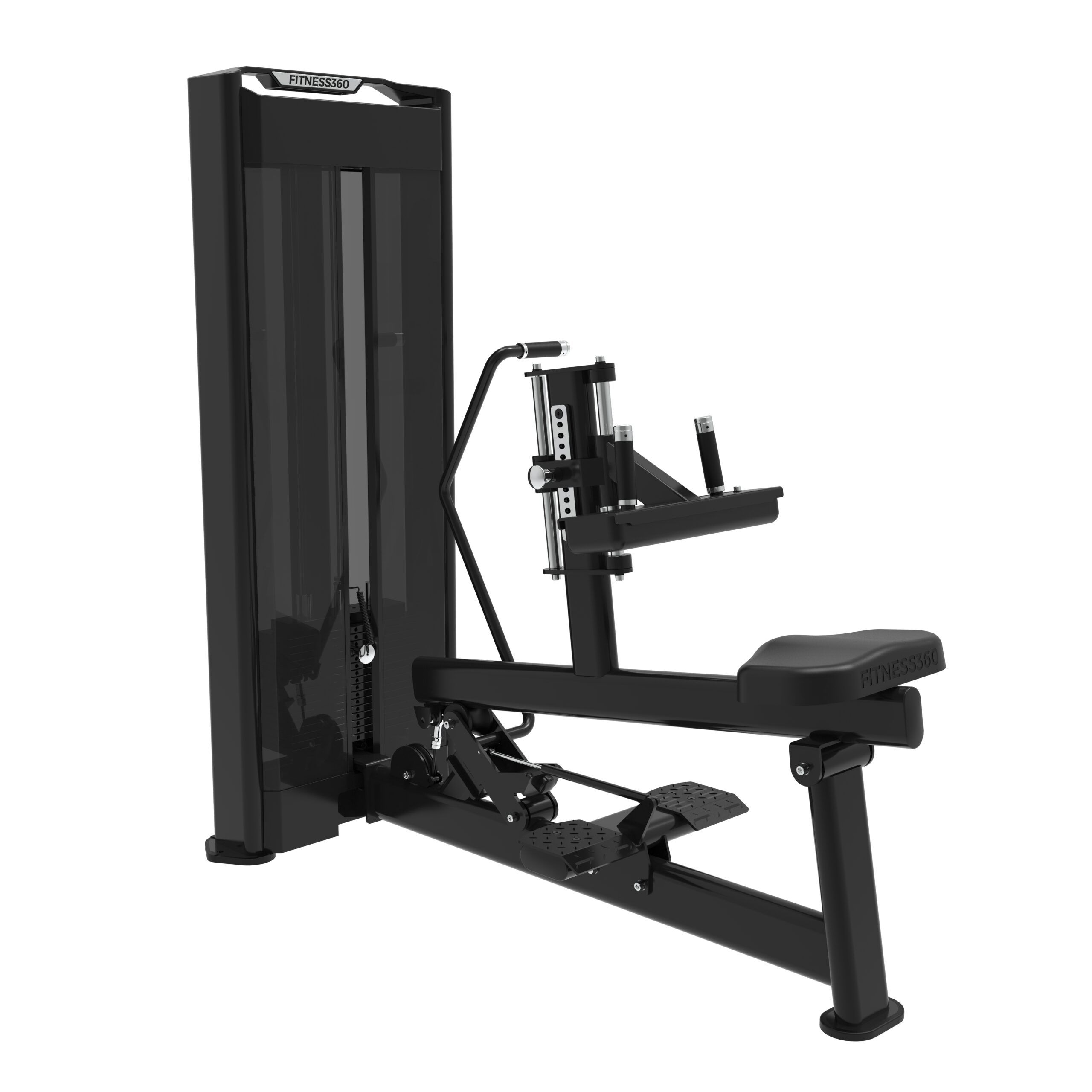 Seated Calf