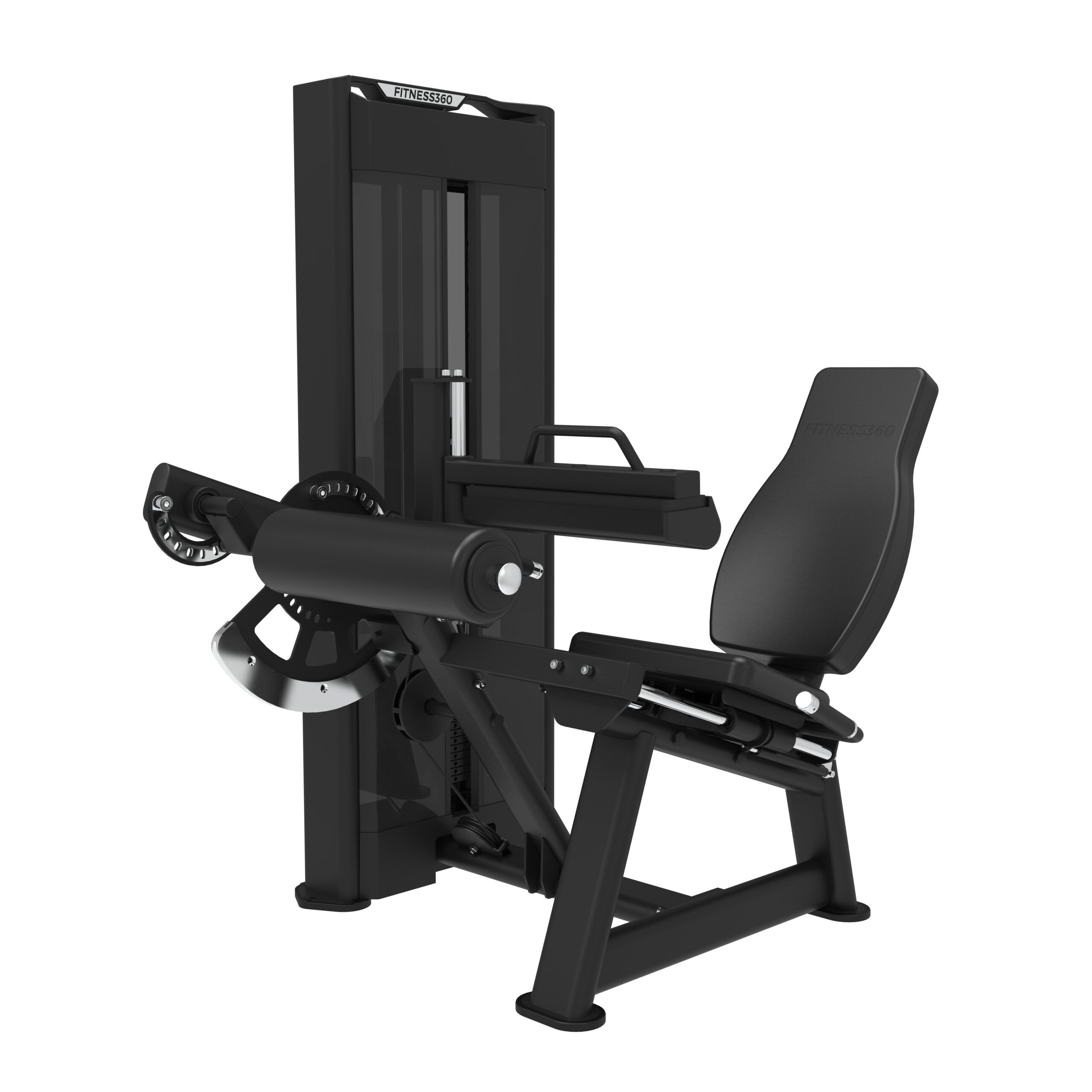 Seated Leg Curl